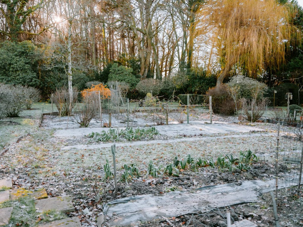 West Seattle Tool Library tweet media