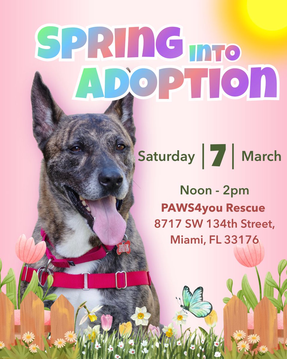 paws4you's tweet photo. Join us for Open House! https://t.co/WpWeGZXmKE