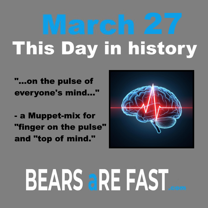 Bears Are Fast tweet media