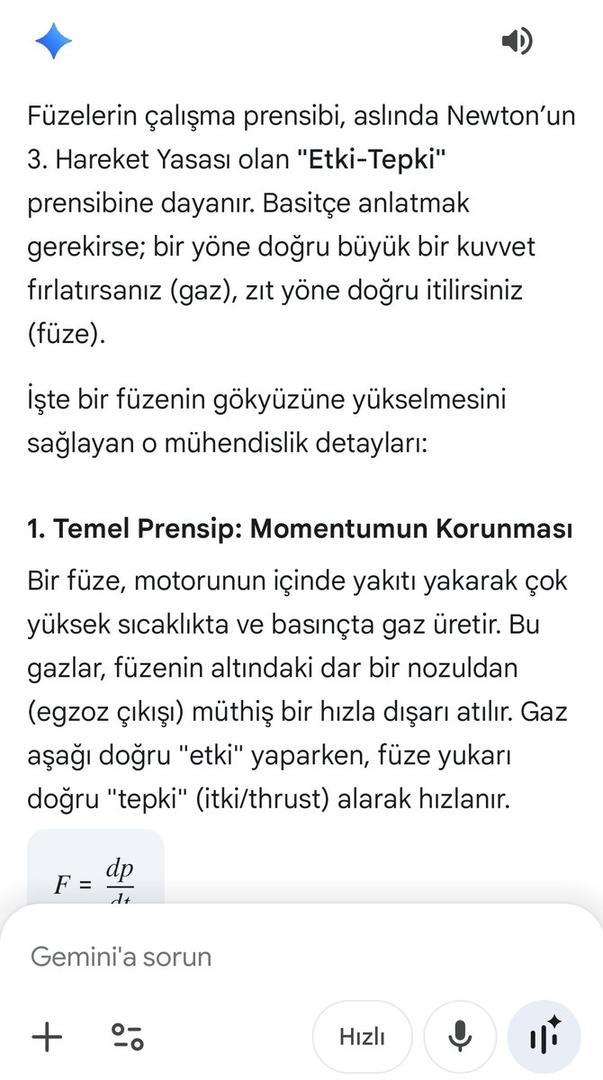 Benim Gemini ile hasbihal (gündem özel)