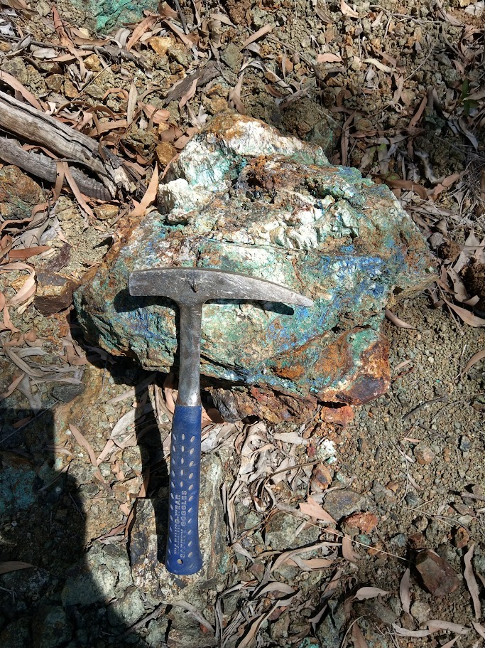 Warwick Anderson tweet media