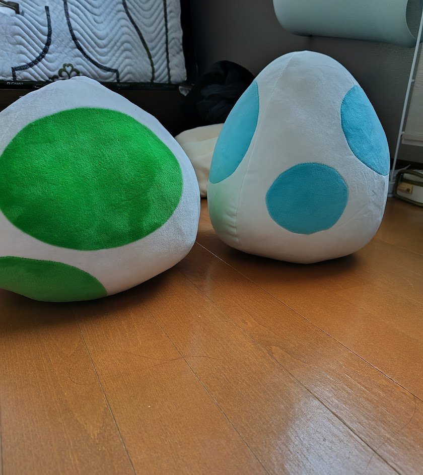 ヨッシーの卵が二つになったのでペットカメラ作動。 さて🐱はどっちの