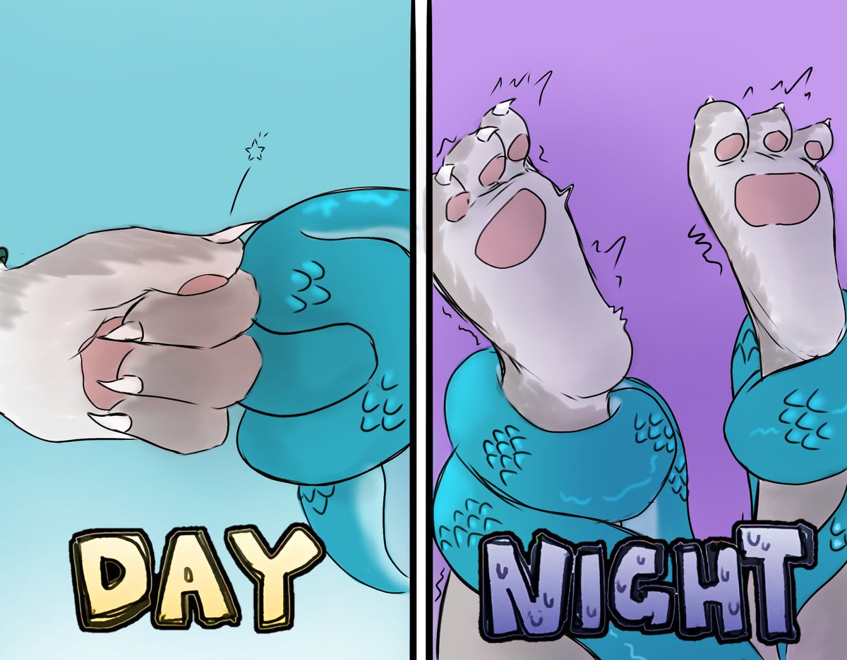 Maru ✨️ tweet media