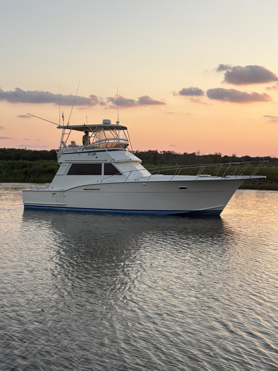 2Tone ⚓️ tweet media