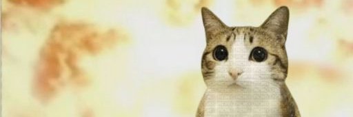 🍎Vgen comms open tweet media