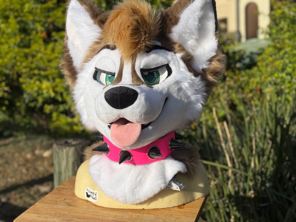 ✨🐾Pawiepaws fursuits ✨ tweet media