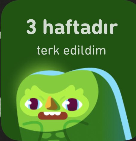 Nefret ediyorum bu tweetlerden ödüm kopuyo atmazsam bok gibi geçicek diye