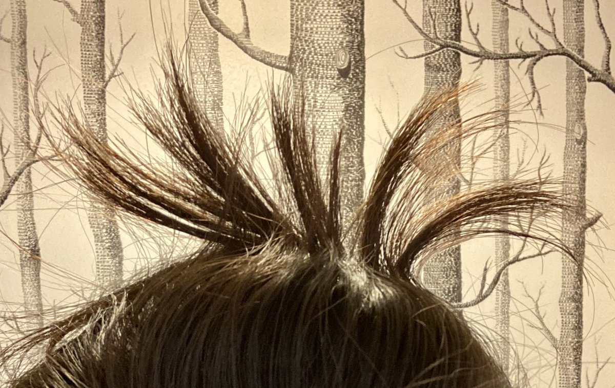 え、iPhoneの勝手に作られてた動物フォルダに じぶん（お団子ほどいた