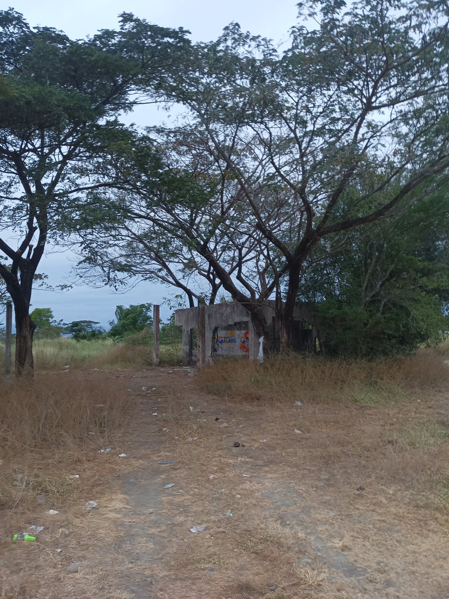 Tito RED👿 tweet media