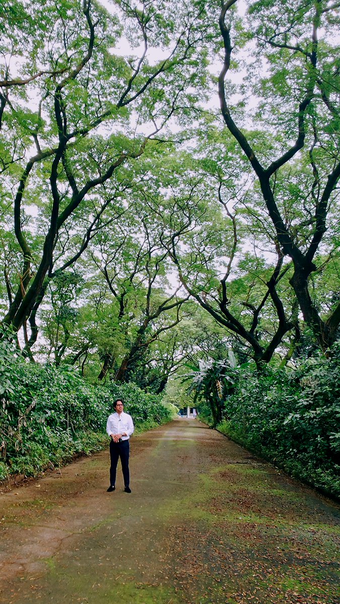 𝙃𝙖𝙥𝙥𝙮 𝘽𝙞𝙧𝙩𝙝𝙙𝙖𝙮 𝘼𝙧𝙘𝙝. 𝙍𝙤𝙮𝙖𝙡 𝙋𝙞𝙣𝙚𝙙𝙖! 🇵🇭🌳