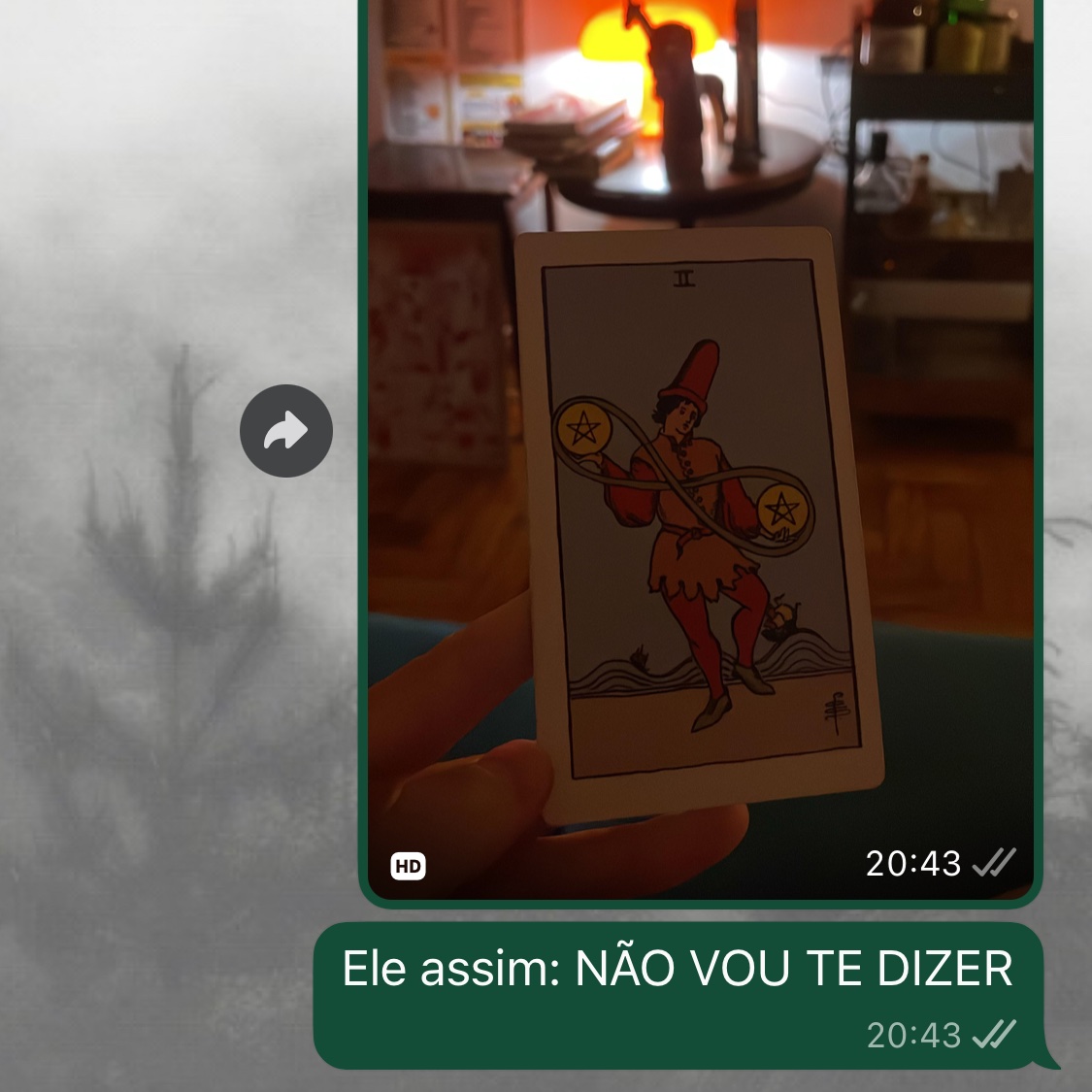 Depois de nenhuma pergunta clarificar o que eu precisava pedi uma carta final pro tarot