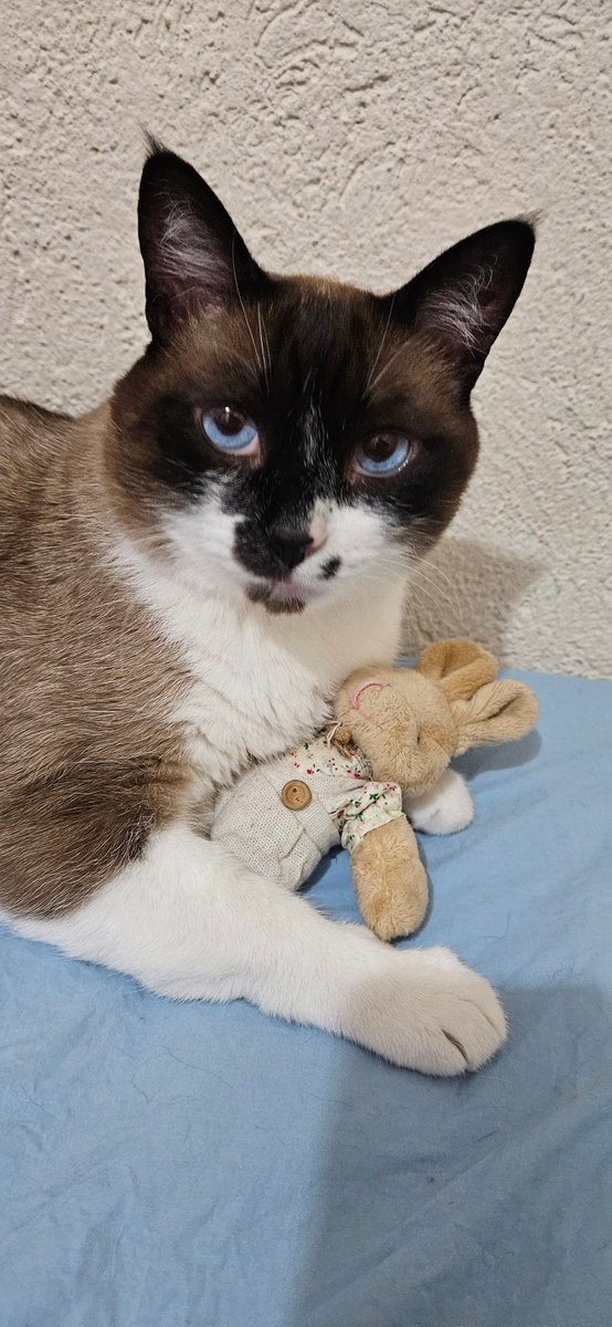 kat romero 🫧 tweet media