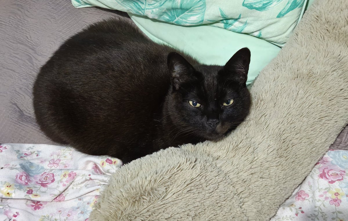 kat romero 🫧 tweet media