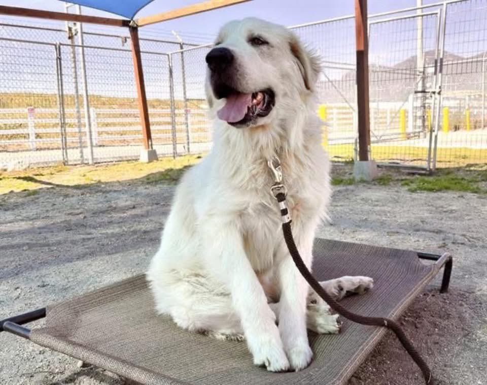 RevaliTheBerner tweet media