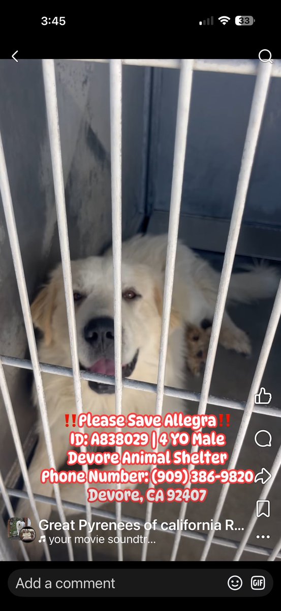 RevaliTheBerner tweet media