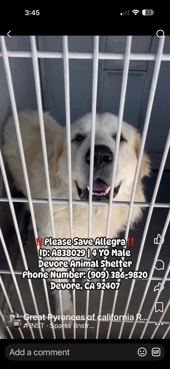 RevaliTheBerner tweet media