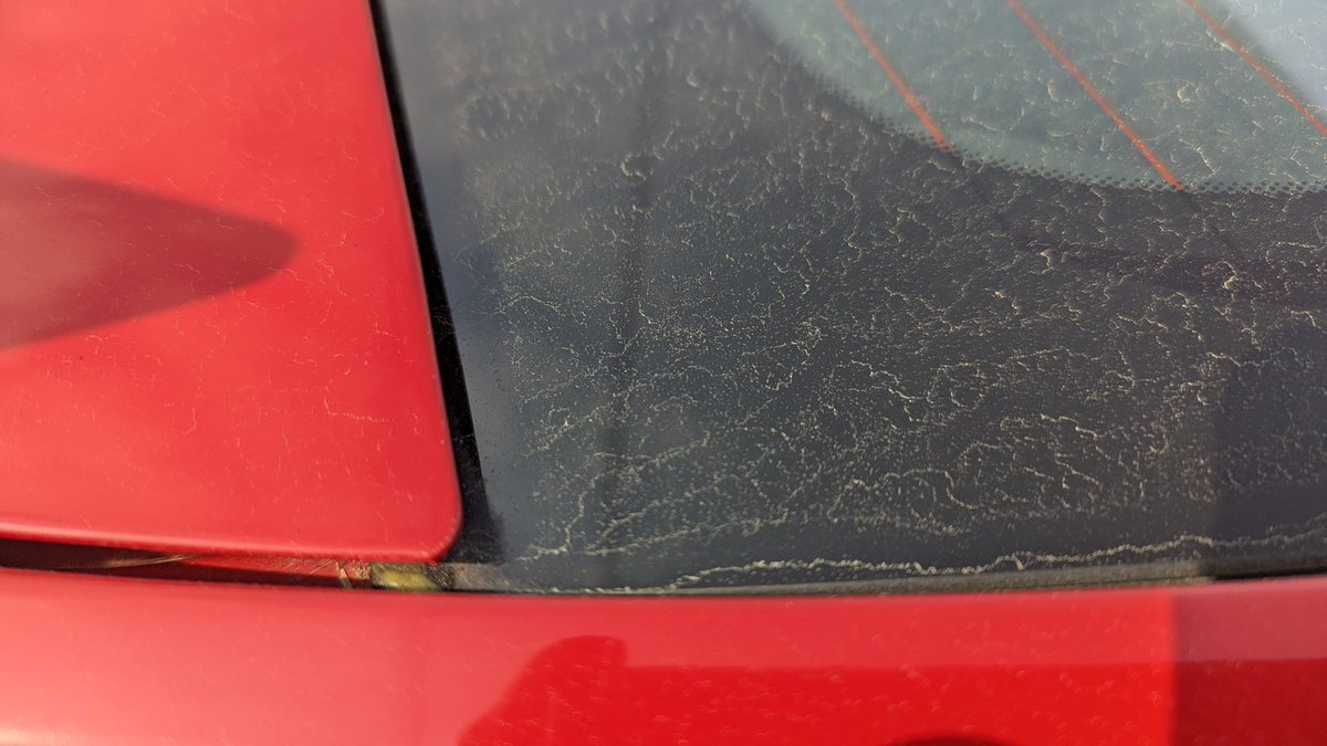 先週洗車したばかりなのに… (´・ω・｀)