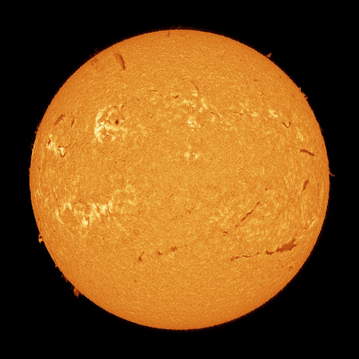 Mario 🪐🌒🌞🌌🔭🐸 tweet media