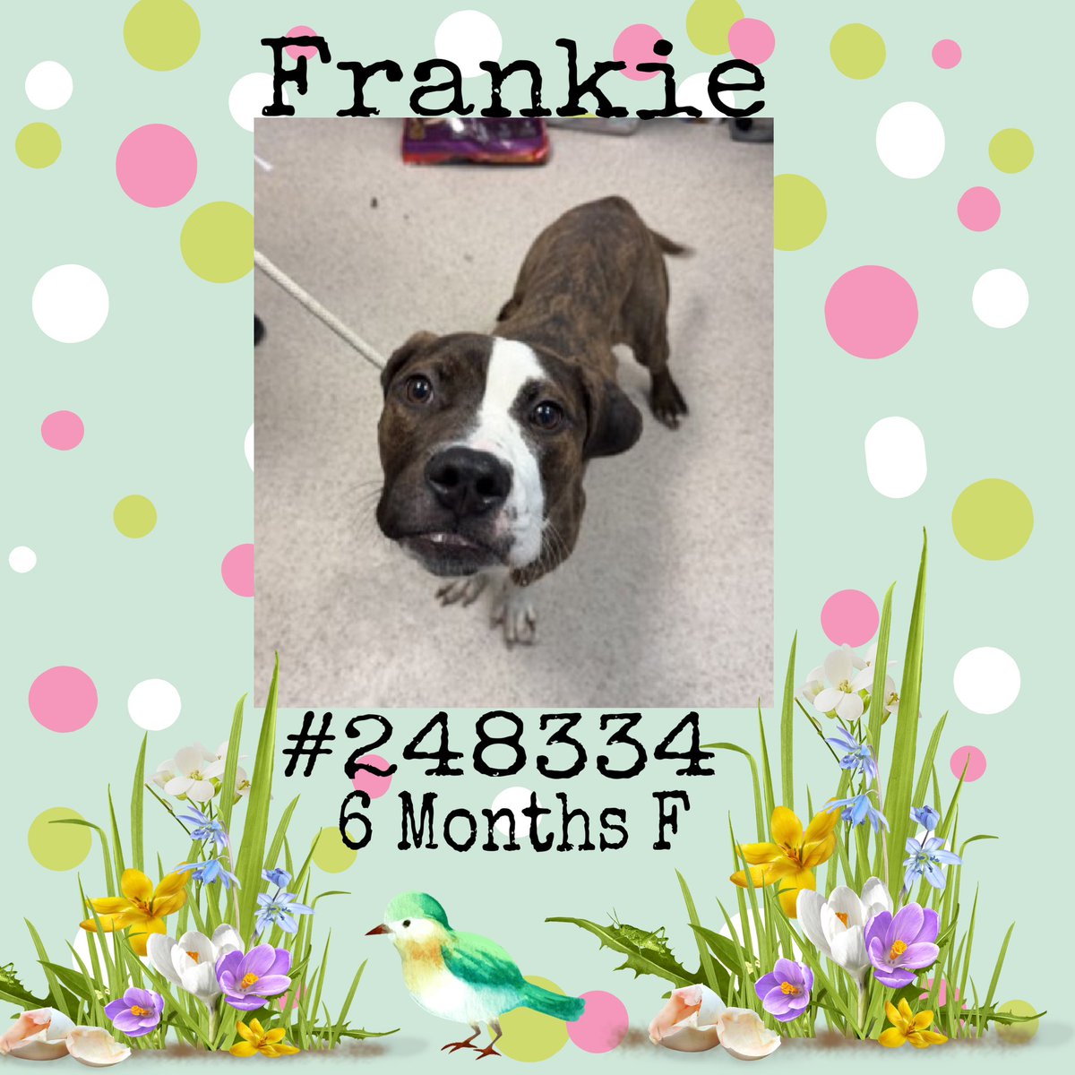 Quinn 💛(G.Quinn Rogers) tweet media