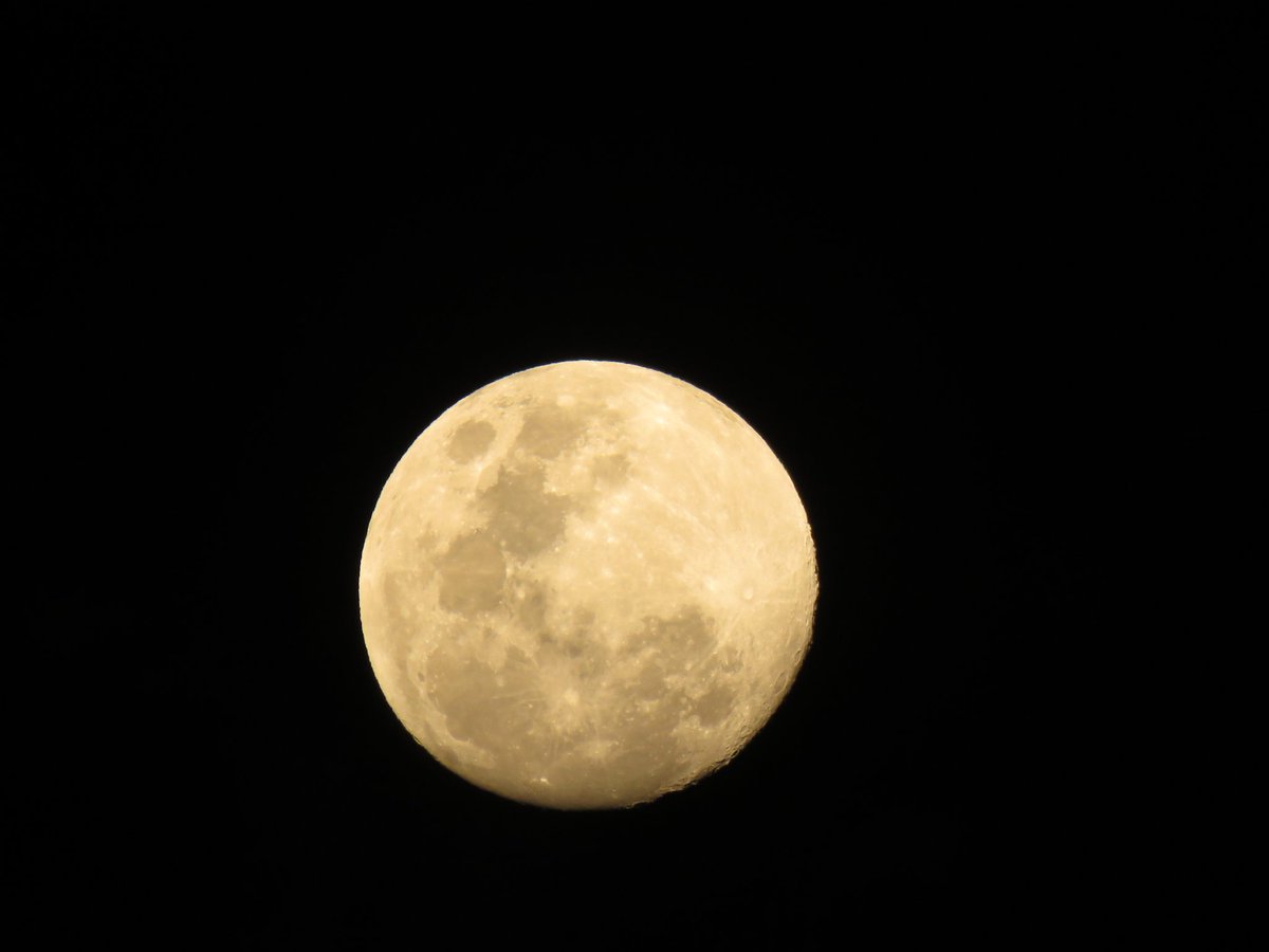 Andrés Monroy Gómez tweet media