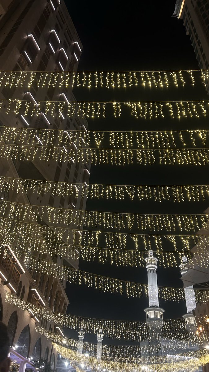 𓆩 𓆪 tweet media