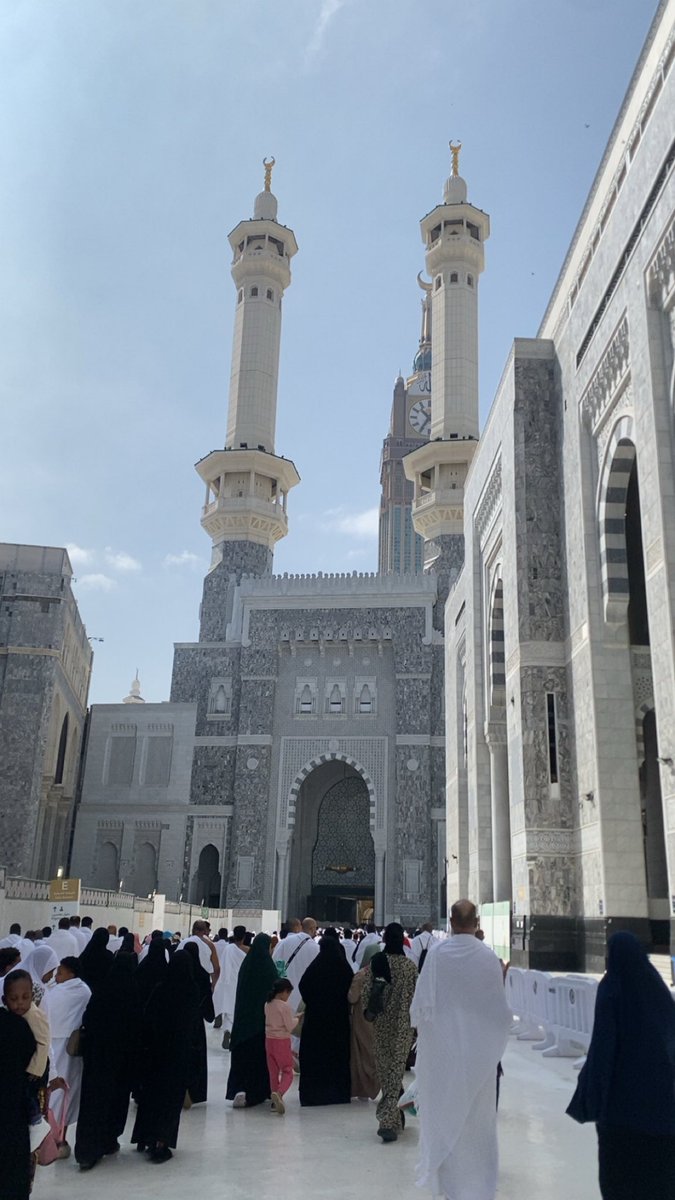 𓆩 𓆪 tweet media