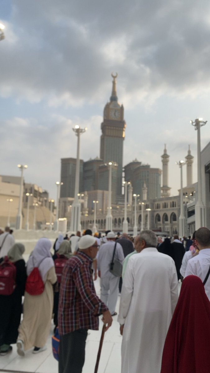 𓆩 𓆪 tweet media