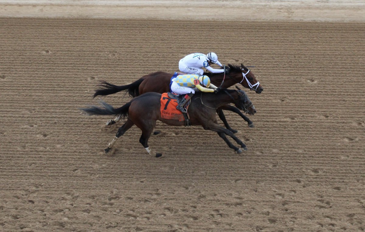 cathy_riccio's tweet image. Class President noses out Silent Tactic in the GII Rebel Stakes! @OaklawnRacing @WinStarFarm  #UncleMo