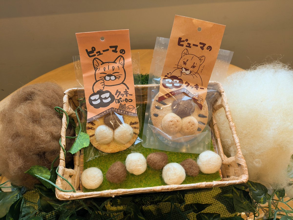 盛岡市動物公園 ZOOMO (@moriokazoo) / Posts / X