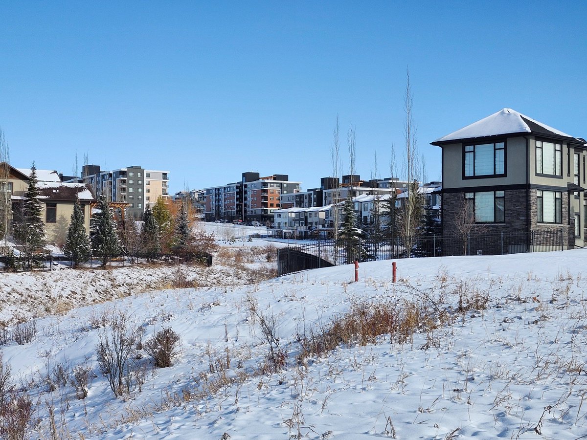 Walking Calgary tweet media