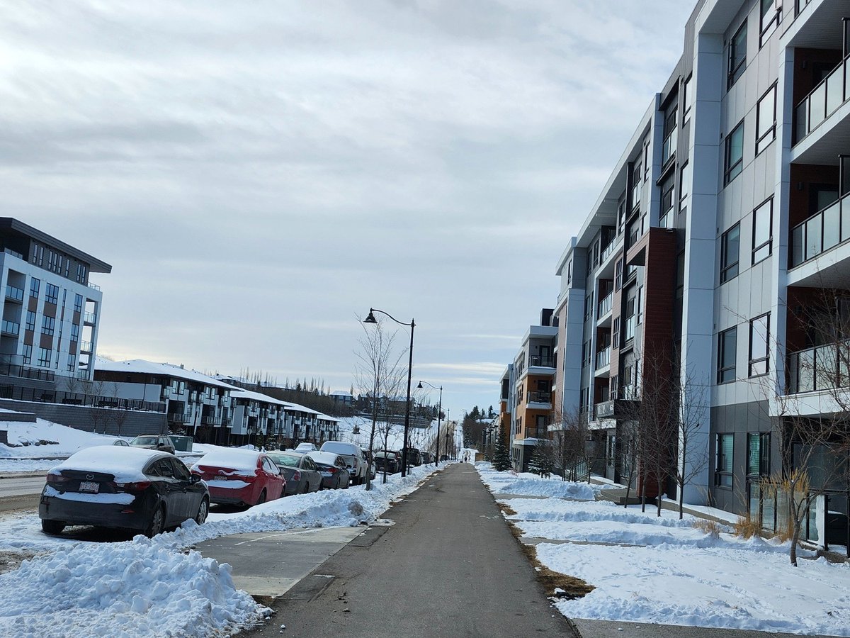 Walking Calgary tweet media