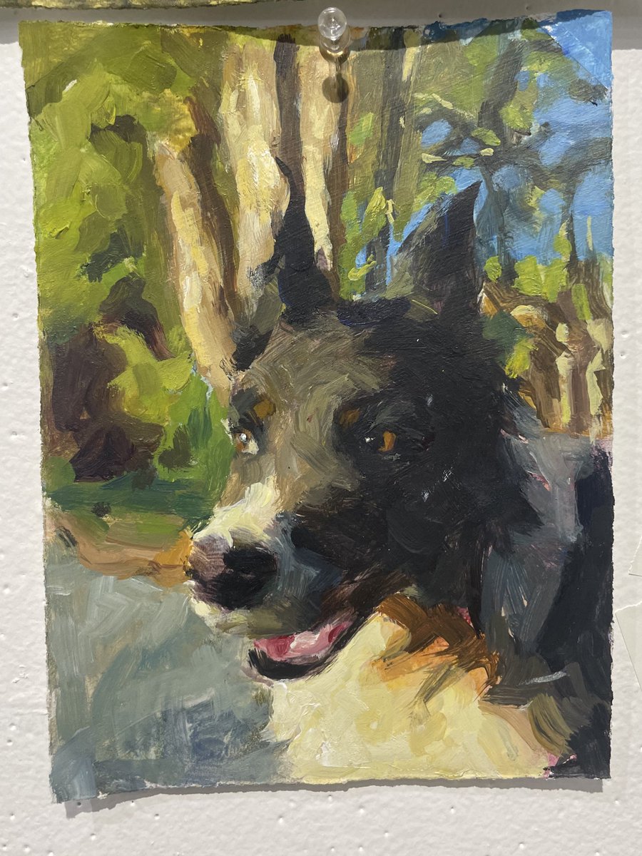 cat/ comms open tweet media