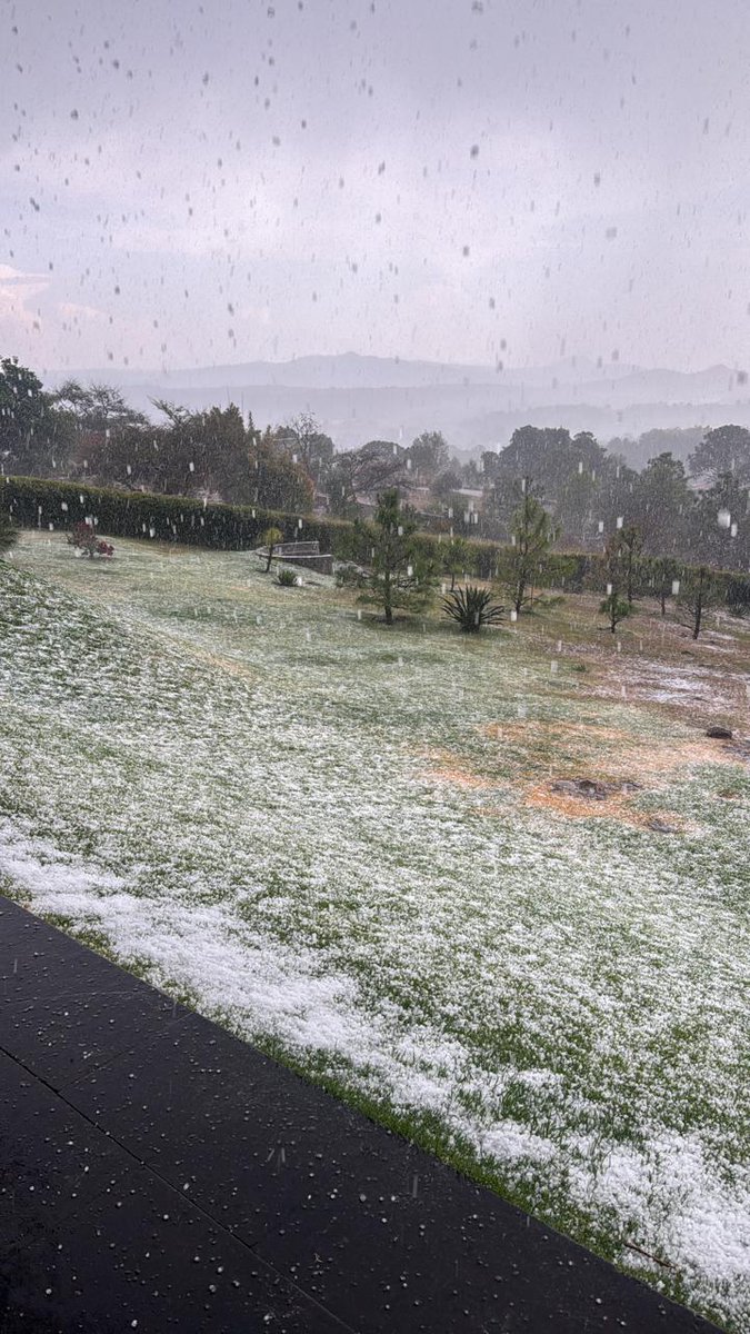 Ricardo García tweet media