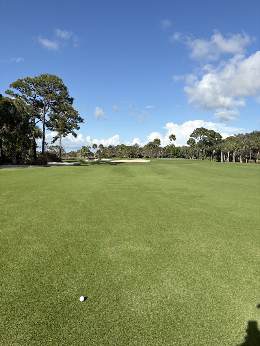 Sam Westfall tweet media