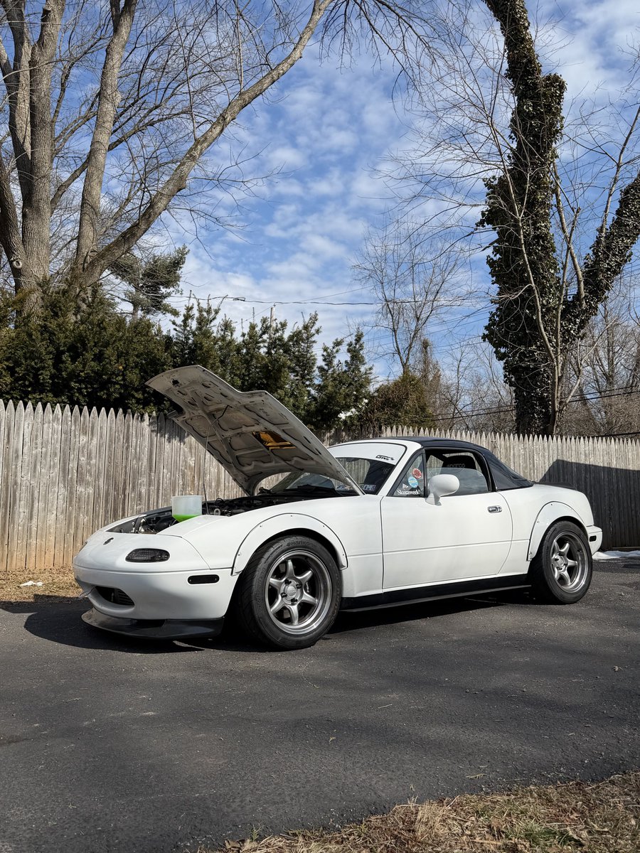 Glimpse of spring today