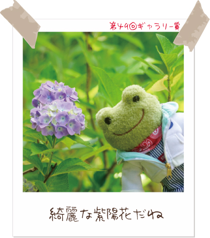かえるのピクルス/pickles the frog (@picklesthefrog6) / Posts / X