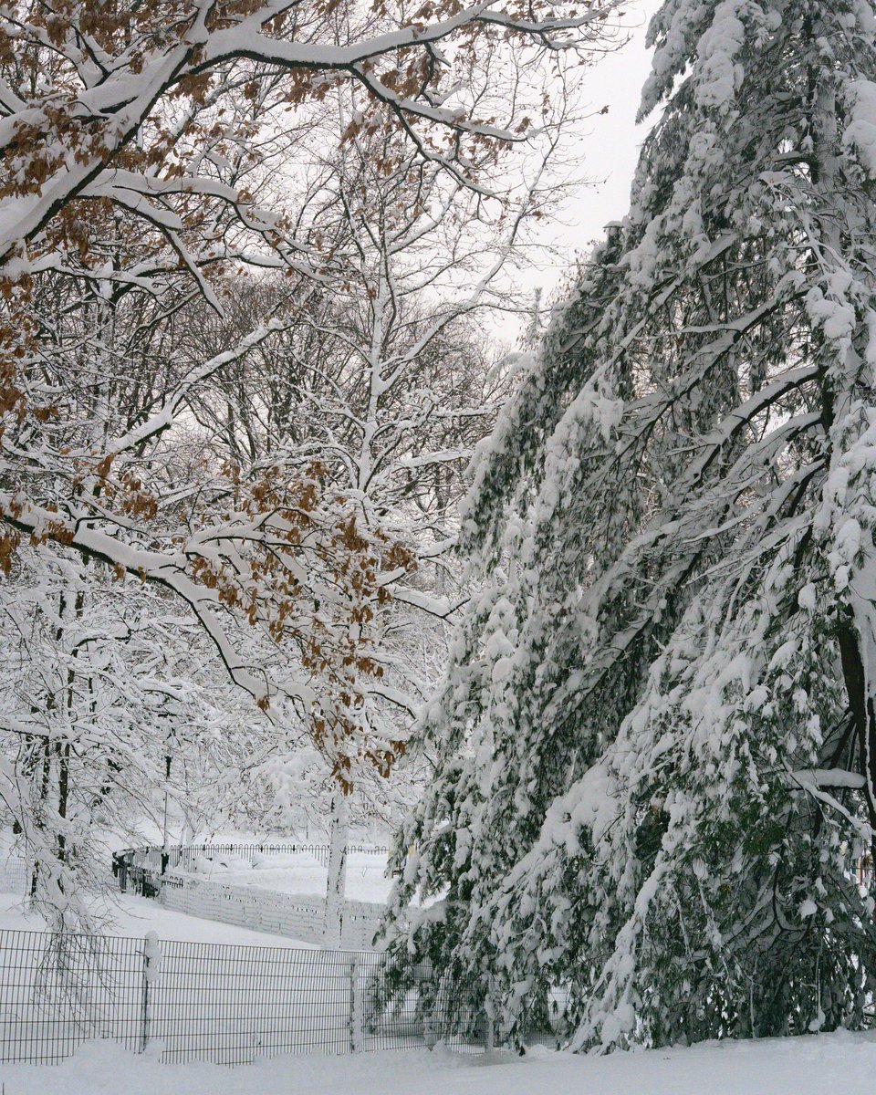 dcp (@beforeorbeyond) on Twitter photo 