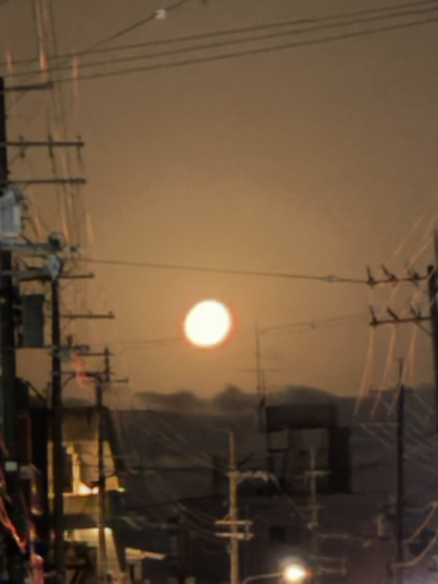 solidtightt tweet media