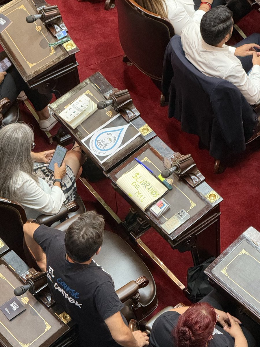 Federico Millenaar tweet media