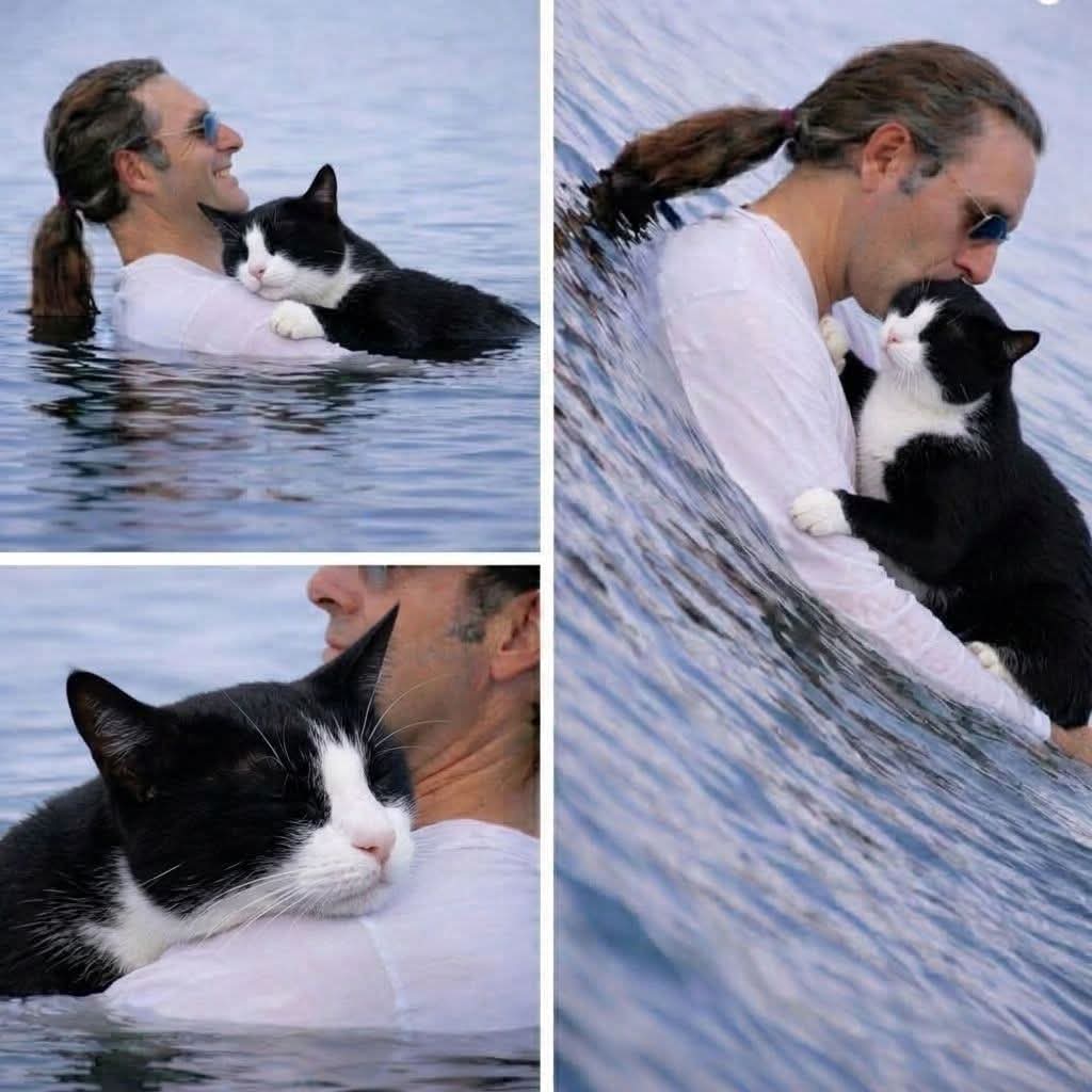 Sofia🇵🇰 tweet media