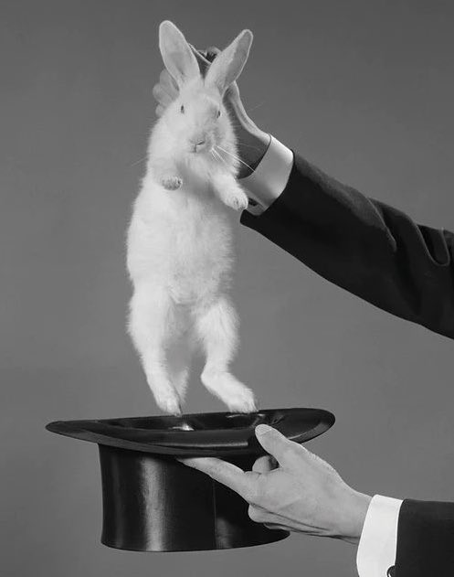 ⊹𓂅 𝓢𝐀𝐍𝐃𝐄𝐑 𝓒𝐎𝐇𝐄𝐍 𓄹 ˖꒷ tweet media