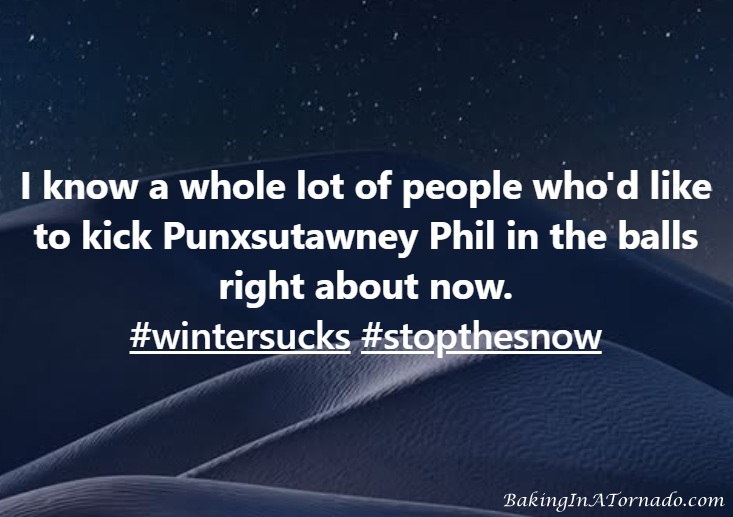 BakngInATornado's tweet image. #wintersucks #stopthesmow #bringonspring #toocold