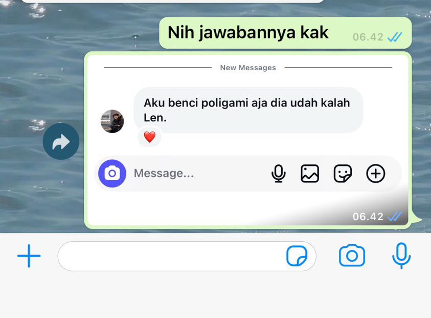 seléne 🐾 tweet media