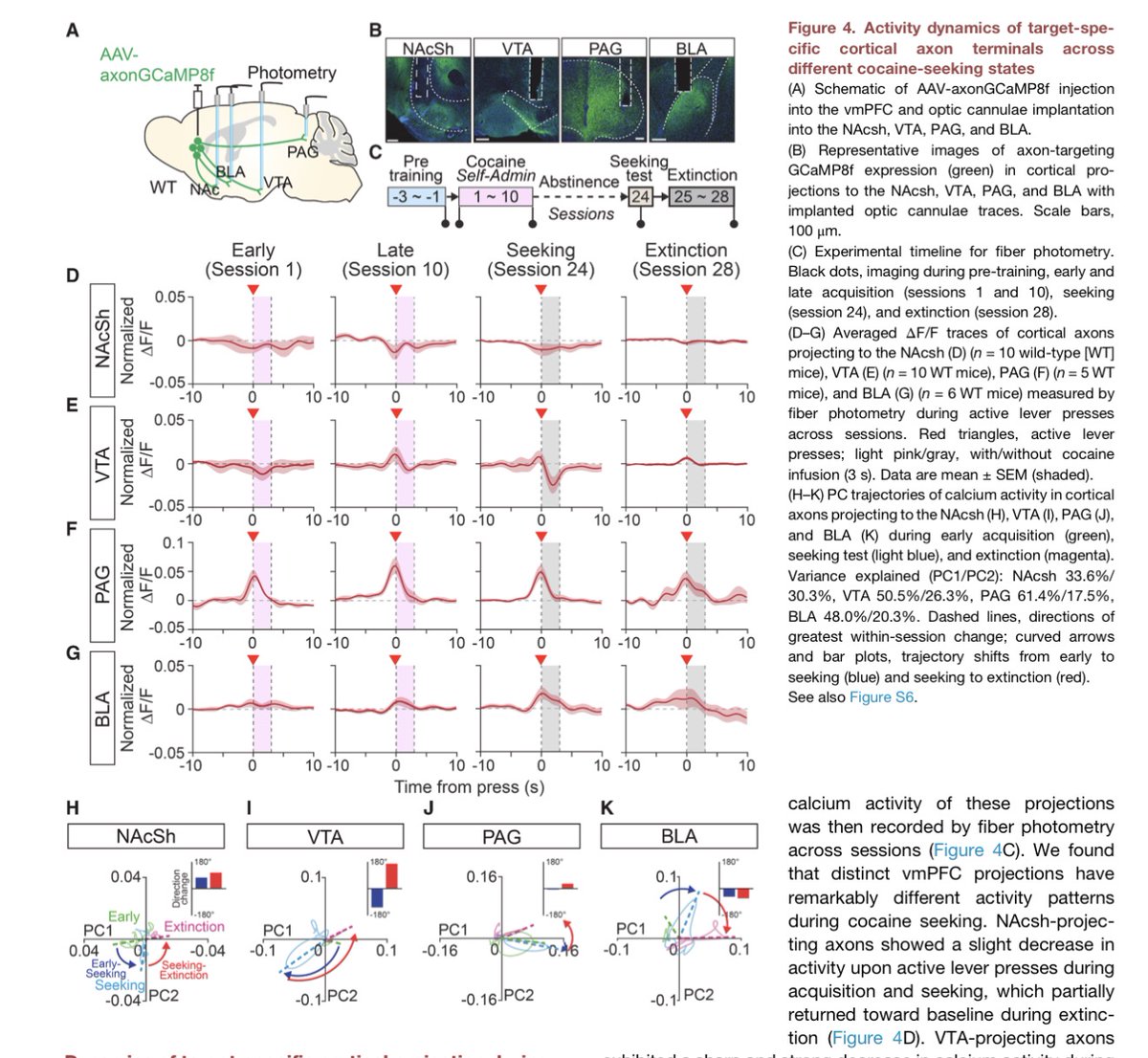 Olivier George tweet media