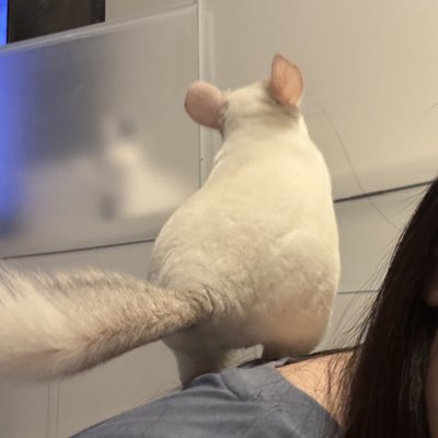 maaa_nuts's tweet photo. #新しいプロフィール画像 https://t.co/a68V9UuK6E