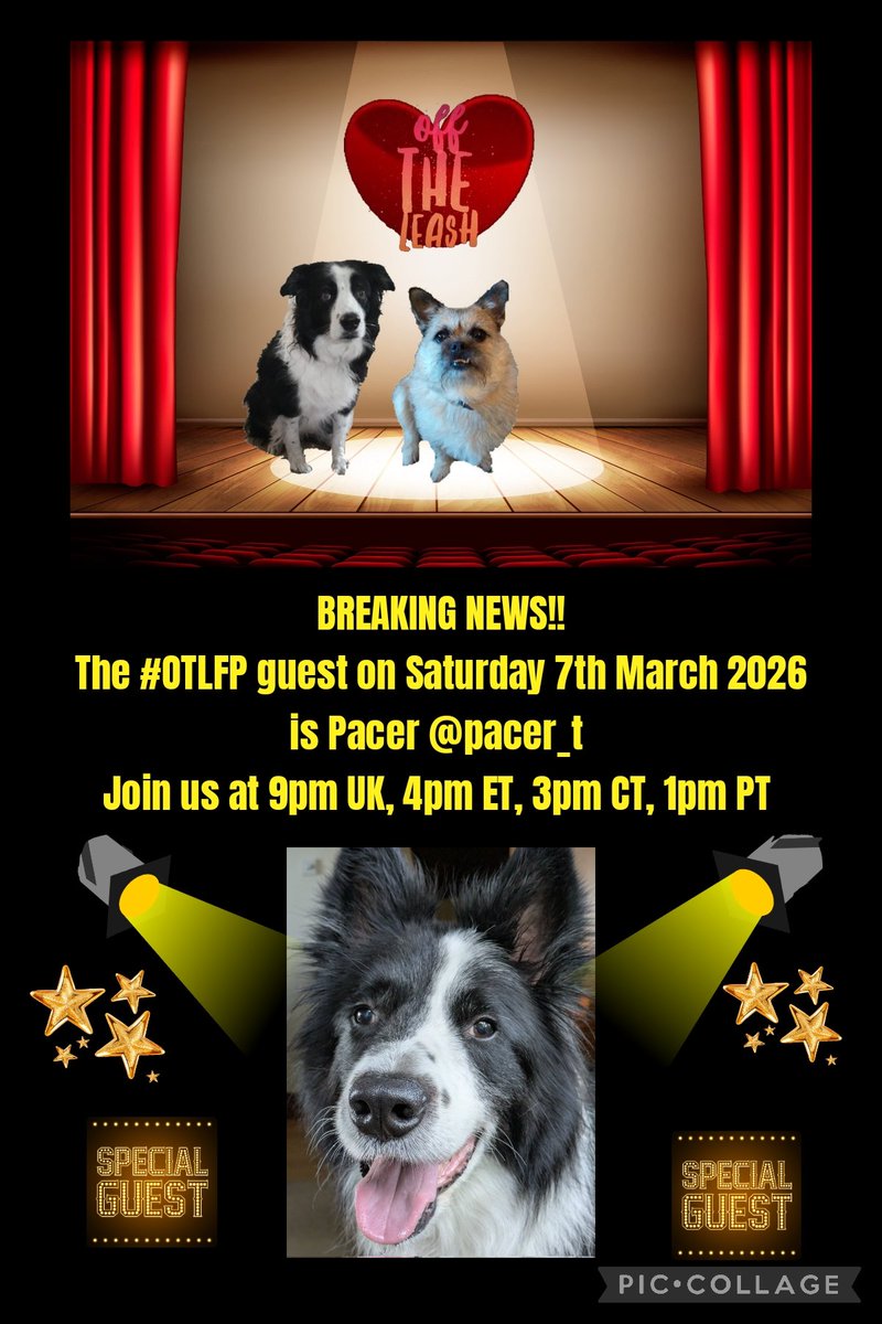 📌 Join us today (Saturday) for OTLFP, a Twitter chat about #pets, by pets!

Guest: Pacer <a href="/pacer_t/">Pacer T Dog</a>

Hosts: <a href="/Pixie_Tooth/">Pixie Tooth 🌈💔</a> &amp; <a href="/MillieOTLFP/">Millie🐾🌈#oneforallandallformillie 🐾🌈</a>

Starts 4pm ET, 3pm CT, 2pm MT, 1pm PT, 9pm UK

All are welcome. Just search &amp; follow #OTLFP!