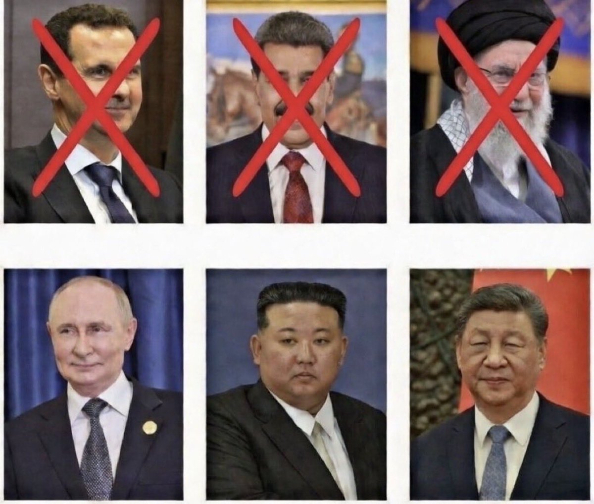 Cody乘锋破浪 tweet media