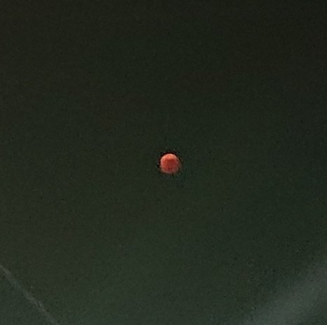 eigyo392's tweet photo. 首都圏で明日の皆既月食を観るのは絶望的なようなので、22年に撮った写真をアップしますね。
スマホで撮った上に拡大しているので見るに堪えない写真ですが😣 https://t.co/Ck2ykI8pih