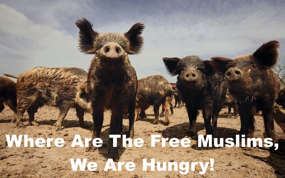 Peter Weyant (@peterweyant) on Twitter photo 