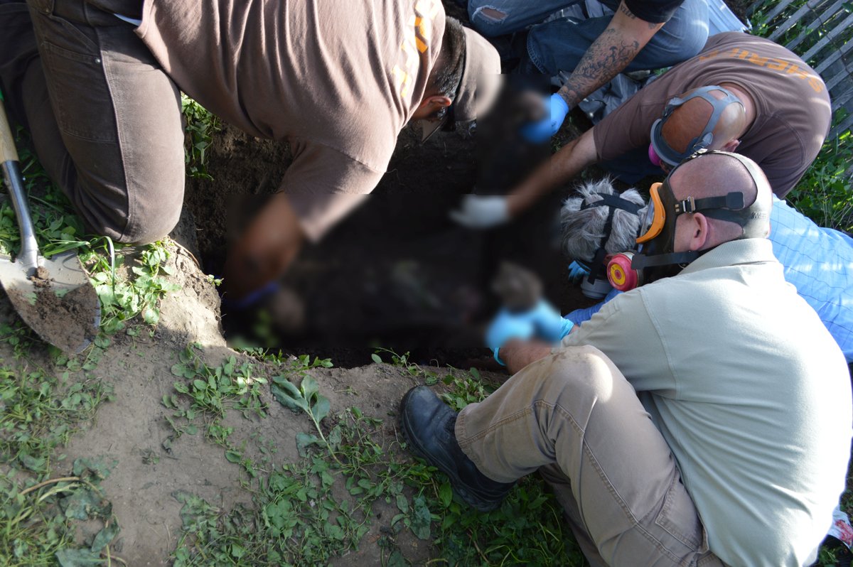 Sword and Scale tweet media